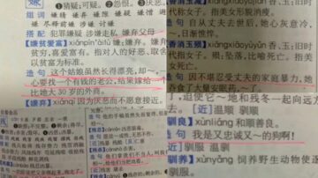 广西全州儿童读物、新华字典现低俗内容与配图