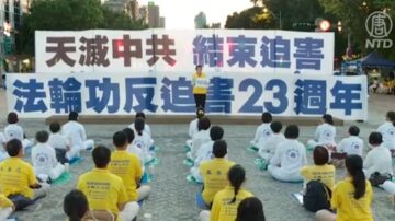 台多党出席法轮功7·20集会 反活摘立法受关注