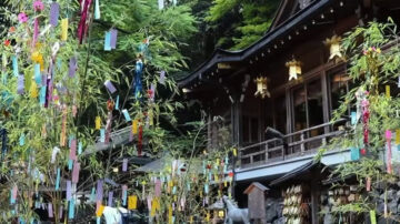 京都炎夏去山中避暑 神社七夕特别夜活动