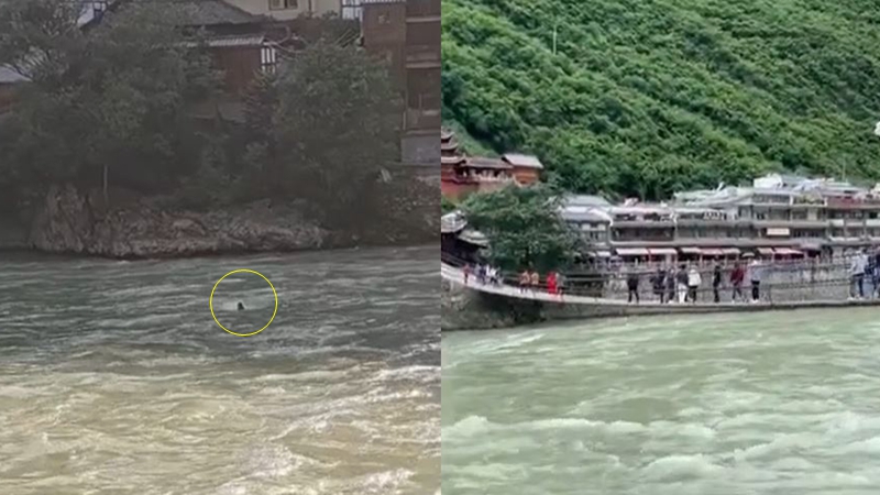 男遊客從四川瀘定橋墜河 下落不明（視頻）