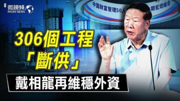 【微視頻】306個工程「斷供」 戴相龍再維穩外資