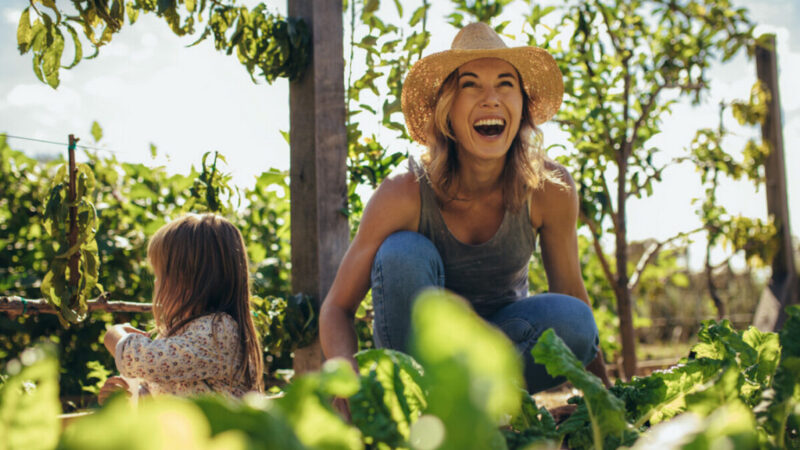 园艺能让您更快乐吗？