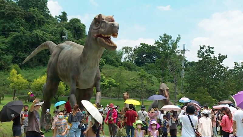 抢攻夏日旅游商机 南投首座动物园开幕