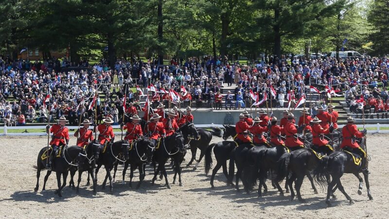 加拿大王家骑警音乐马术义演 国庆日展英姿