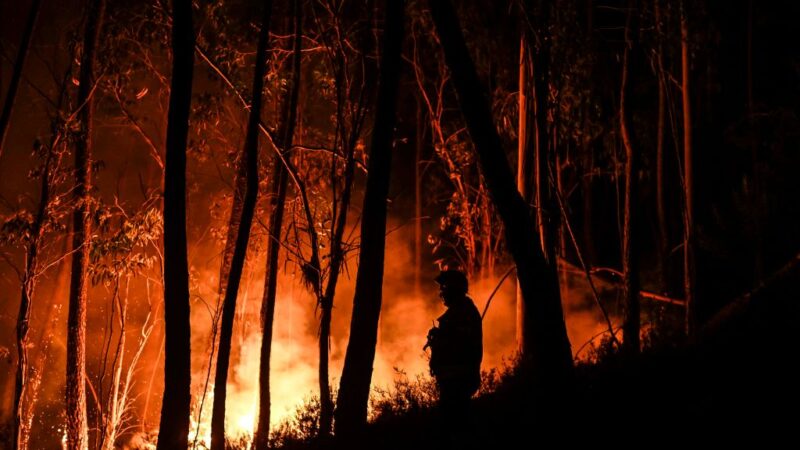 葡萄牙野火肆虐 出动逾三千消防员 启动欧盟保护机制