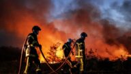 熱浪侵襲 法國多起野火肆虐 動物園急撤