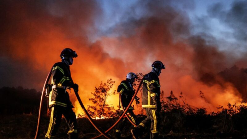 熱浪侵襲 法國多起野火肆虐 動物園急撤
