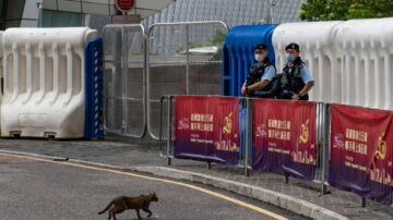 专家吁香港放宽防疫限制 通过自然感染达成混合免疫