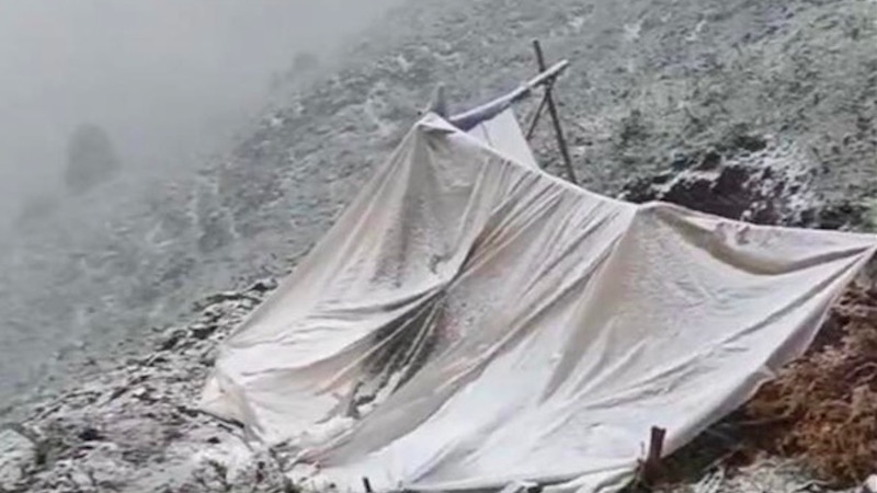 中国多地降“六月雪” 甘肃大雪压塌牧民帐篷