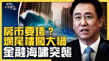 【十字路口】烂尾楼闯大祸 金融海啸突袭？