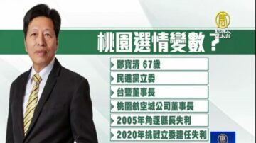 民进党桃园选情生变？前立委郑宝清宣布参选