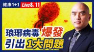 【健康1+1】琅琊病毒爆發 引出1大問題！