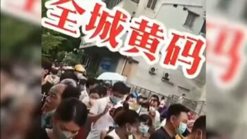 广东雷州逾万人被赋黄码 做完核酸再转绿