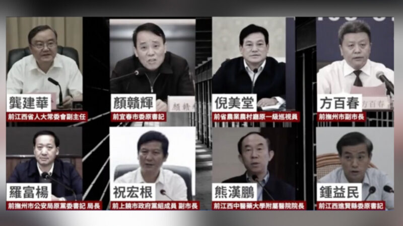 曾慶紅江西幫十官員落馬 李強缺席上海會議引猜測