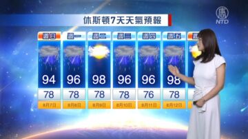 休斯顿一周天气预报