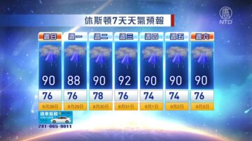 休斯顿一周天气预报