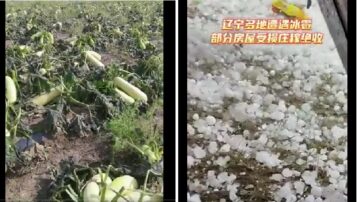 河北张家口气温突降至零下 辽宁多地降大冰雹（视频）