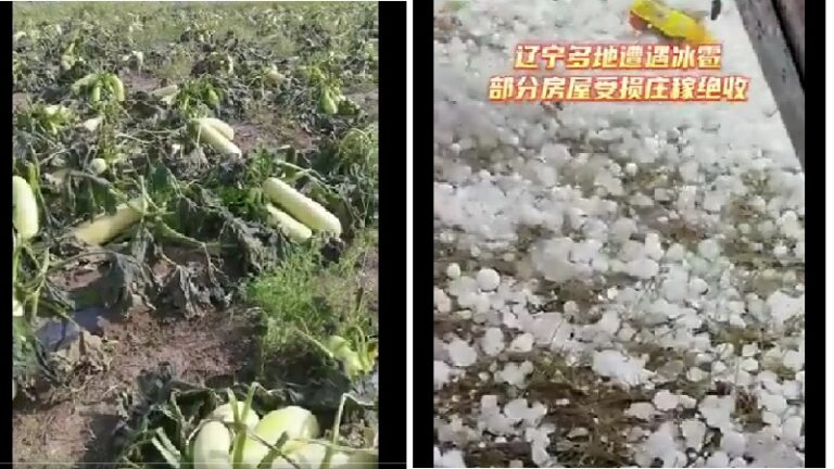 河北張家口氣溫突降至零下 遼寧多地降大冰雹（視頻）