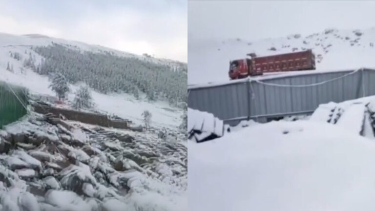 一夜夏變冬 新疆8月下大雪