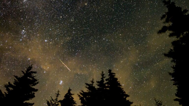 英仙座流星雨週末迎極大期 滿月仍可見