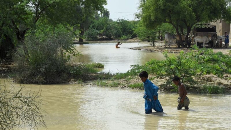 30年来最大降雨酿暴洪 巴基斯坦一个月夺走549命