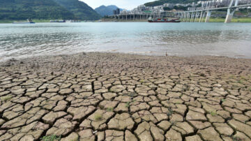 长江流域大旱 王维洛：湖水干涸与缺电是调控失误