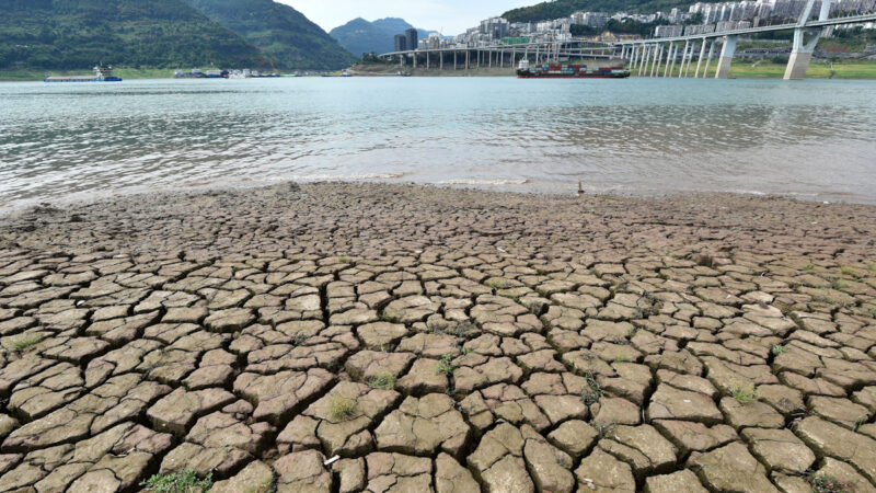 长江流域大旱 王维洛：湖水干涸与缺电是调控失误