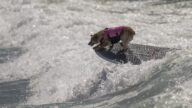 超萌！加州狗狗衝浪錦標賽妙趣橫生