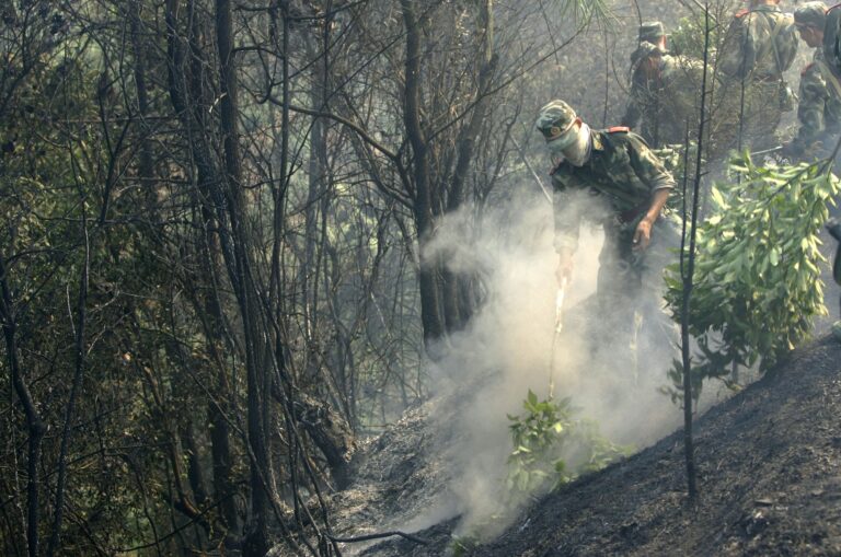 大陸發布乾旱橙色預警 重慶持續爆熱43度山火蔓延