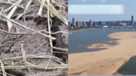 【一线采访】江西重庆多地干旱河流干枯