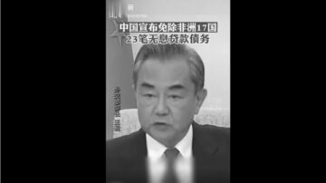 中共免除非洲23筆債務 網民罵聲一片 亞開行反應微妙