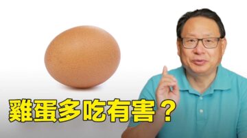 【四維健康】雞蛋多吃有害嗎？一天應該吃幾個雞蛋