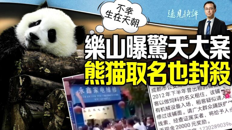 【遠見快評】樂山曝驚天大案 鬧市出駭人黑幕