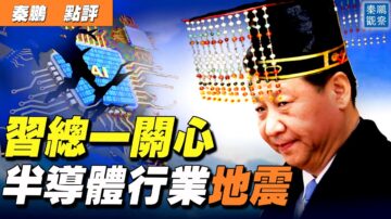 【秦鹏直播】习近平一关心 半导体行业大地震