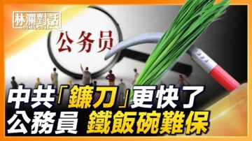 【林瀾對話】公務員鐵飯碗難保 比1990年代更難辦