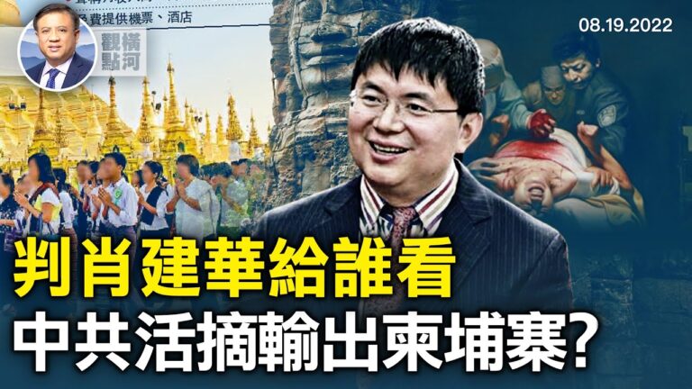 【橫河觀點】肖建華輕判給誰看？活摘器官輸出柬埔寨
