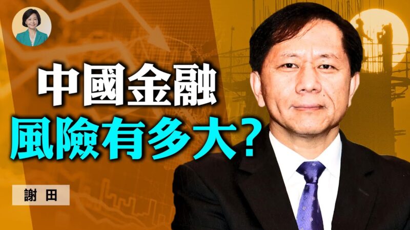 【方菲访谈】谢田：中国金融领域的风险有多大？