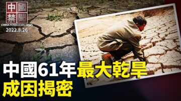 【中国禁闻】8月26日完整版