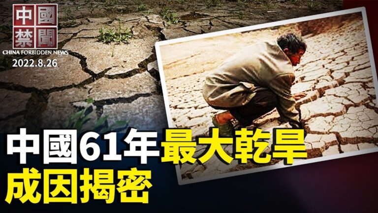 【中國禁聞】8月26日完整版