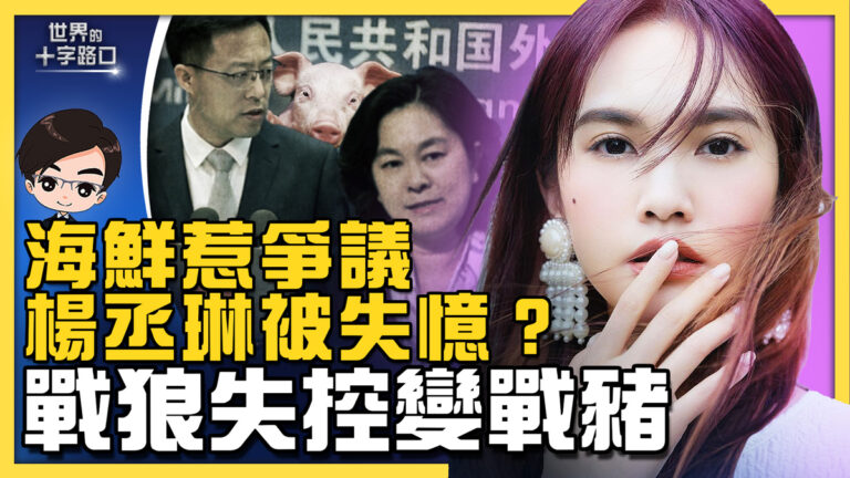 【十字路口】楊丞琳吃海鮮惹議 戰狼失控變戰豬