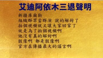 【禁聞】9月11日三退聲明精選