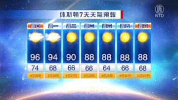 休斯顿一周天气预报