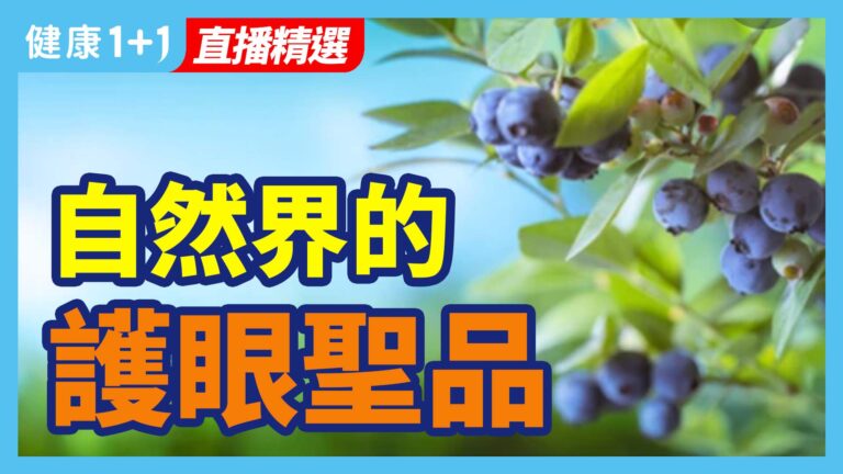 【健康1+1精選】自然界的護眼聖品