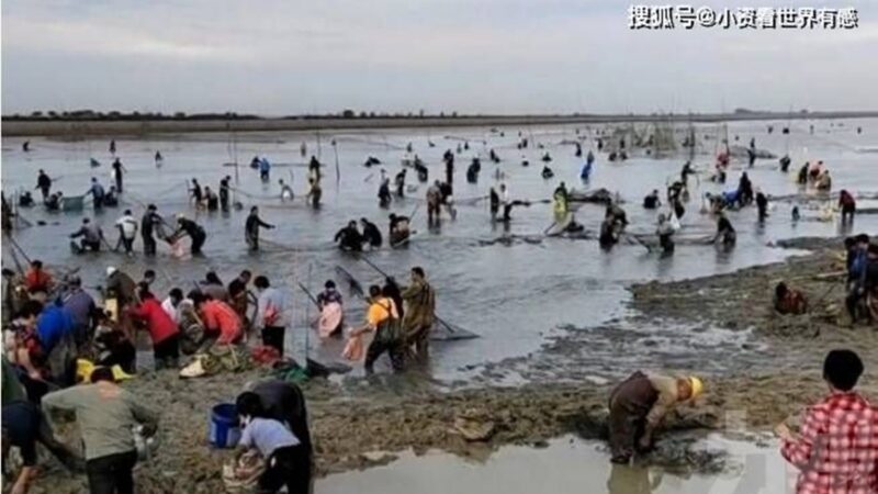 【中國一分鐘】江西大旱危及「江豚」安徽湖水降引萬人撈魚