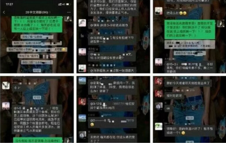 來自伊犁的絕望呼喊 封控下的404帖文合集