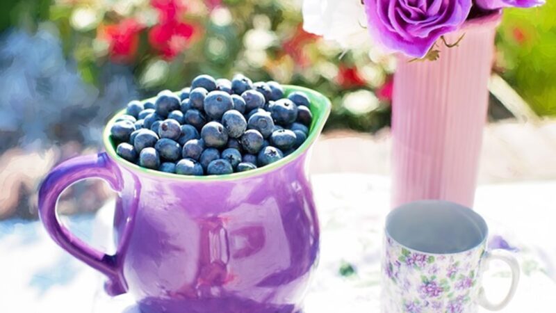防癌又护肤 吃蓝莓有9大好处 3类人别吃