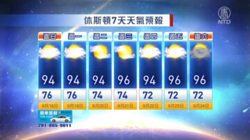 休斯顿一周天气预报