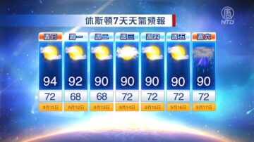 休斯顿一周天气预报