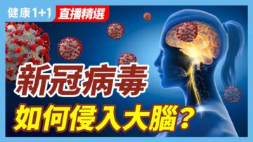 【健康1+1精选】新冠病毒如何侵入大脑？