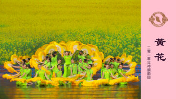 【神韻早期節目】黃花（2010年製作）